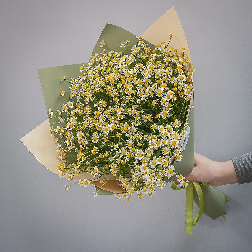 19 Кустовых Ромашек